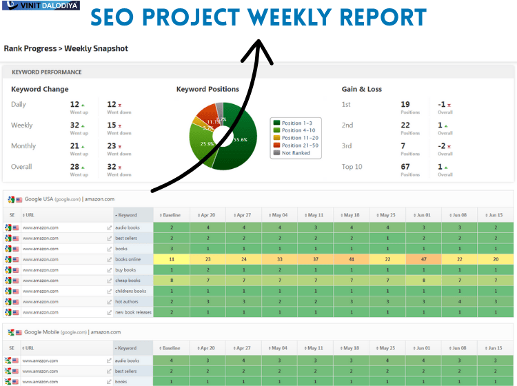 Best freelancer managing SEO project for digital marketing success in Indore